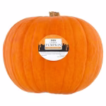 Halloween Giant Pumpkin